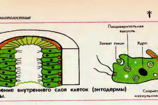 Официальная ссылка на blacksprut 1blacksprut me