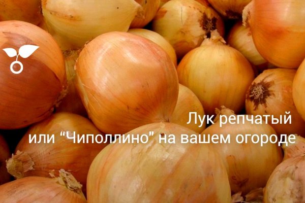 Блэкспрут зайти через тор