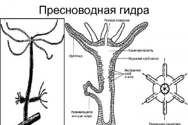 Блэк спрут ссылка tor wiki online